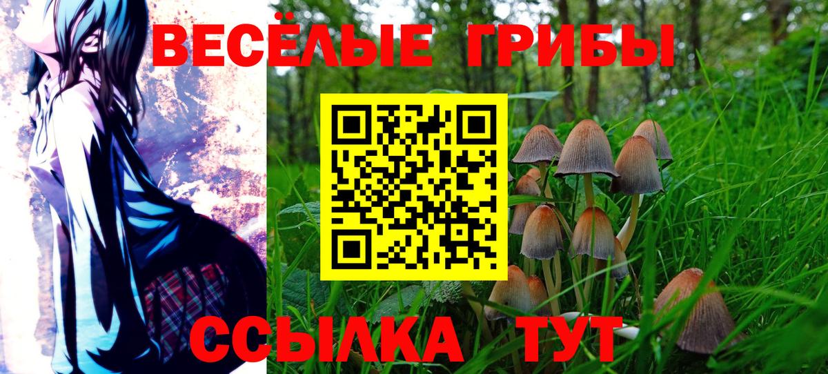 Псилоцибиновые грибы ЛСД Ивантеевка