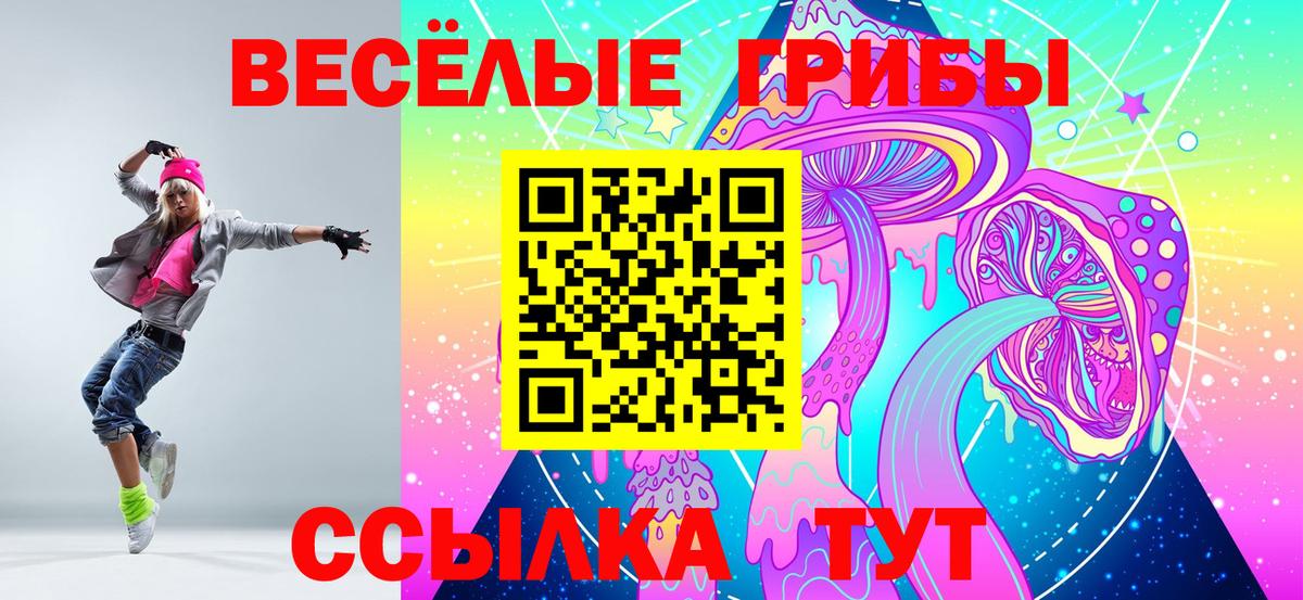 Псилоцибиновые грибы Psilocybe  Вход с VPN  дарнет шоп  Ивантеевка  Галлюциногенные грибы GOLDEN TEACHER 